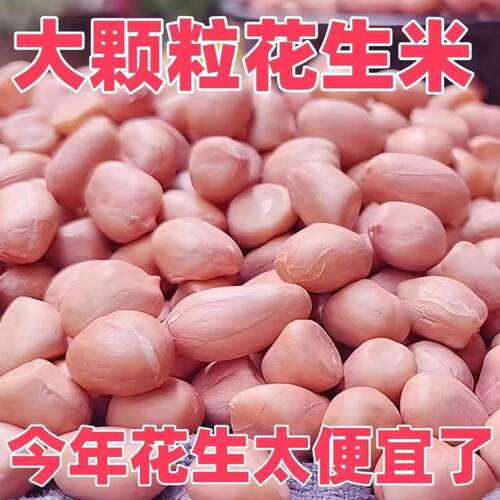 5斤【大颗粒批发】2025年新鲜东北大白沙花生米农家自产种植