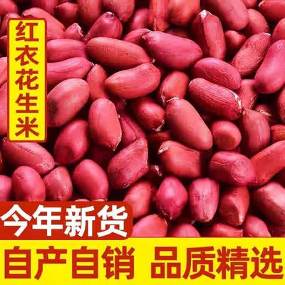 净重【五斤批发价】农家种植新红皮花生米不带壳东北特产红衣100g