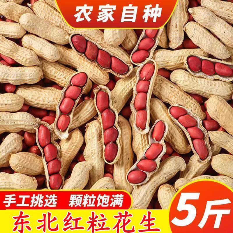 东北花生红皮批发花生带壳新货新鲜红衣晒干红衣