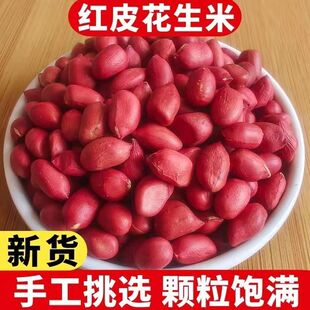 新两粒红皮花生米生新货农家自产东北红衣生花生仁散装