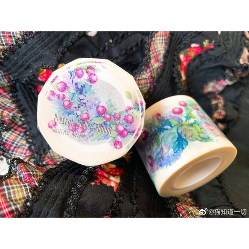 手帐胶带分装猫知道一切DIY贴纸