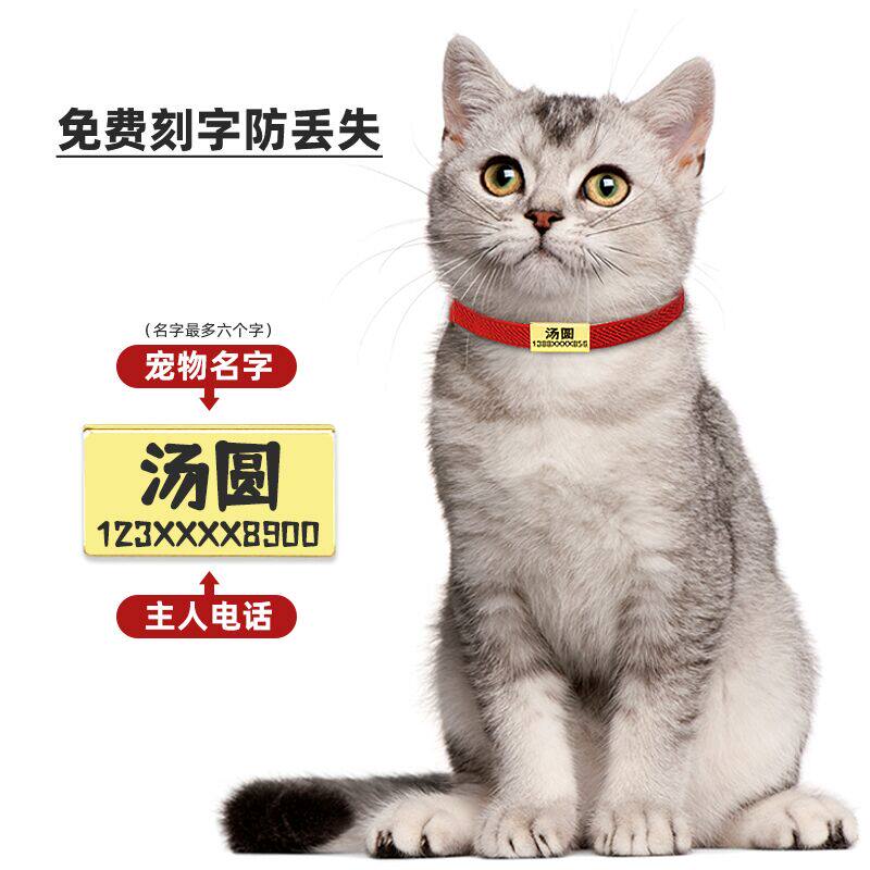 宠物项圈定制防丢名牌挂