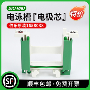 伯乐Bio-rad 原装进口电泳槽电极芯 主芯 副芯 1658037 1658038