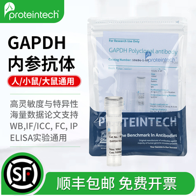 武汉三鹰GAPDH内参抗体WB验证