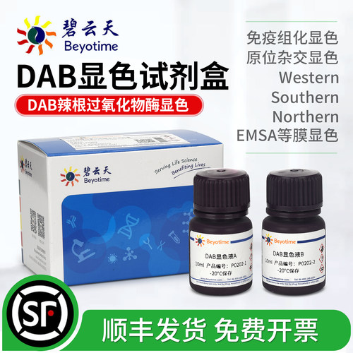 碧云天DAB辣根过氧化物酶显色