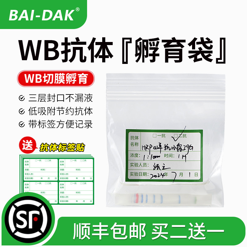 百达康 WB抗体孵育袋 抗体杂交袋 抗体稀释袋 一抗二抗袋子带标签
