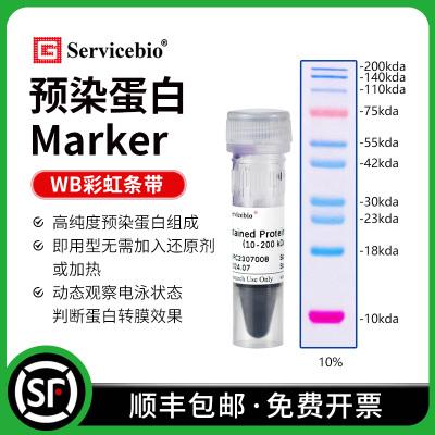 赛维尔蛋白Marker缓冲液直接上样