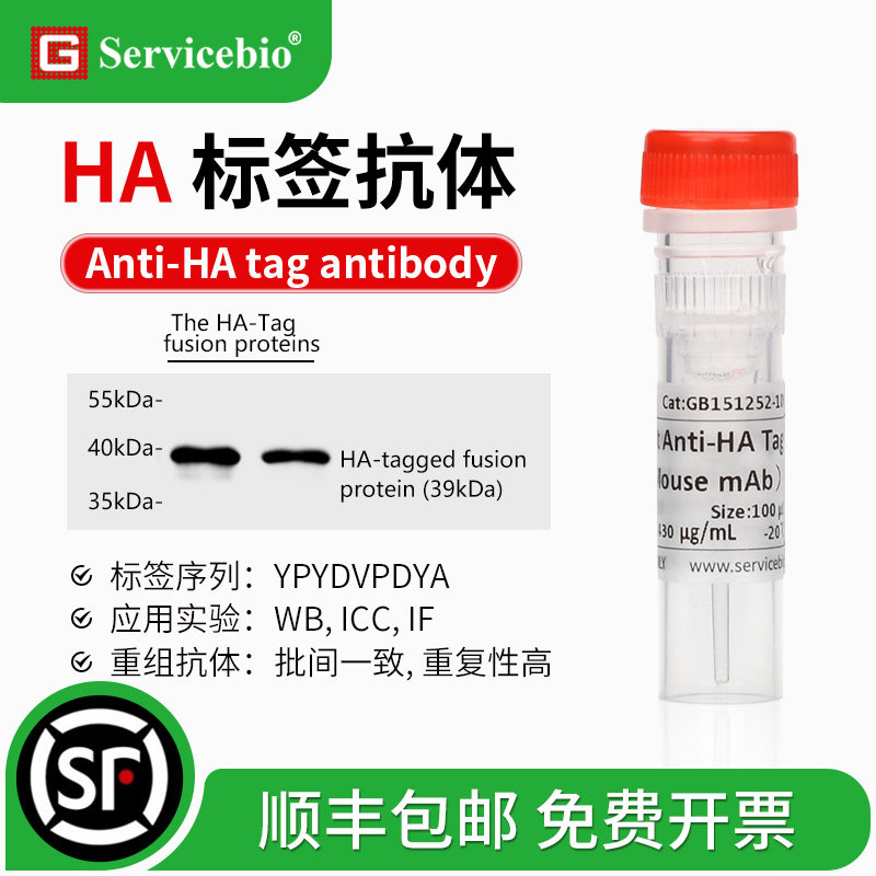 HA 标签抗体 Anti-HA Tag antibody YPYDVPDYA标签 小鼠 兔mAb