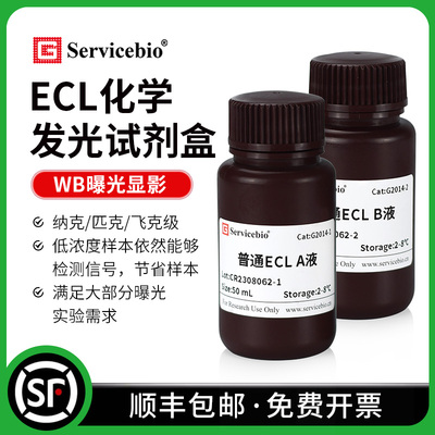 赛维尔ECL化学发光缓冲液高灵敏