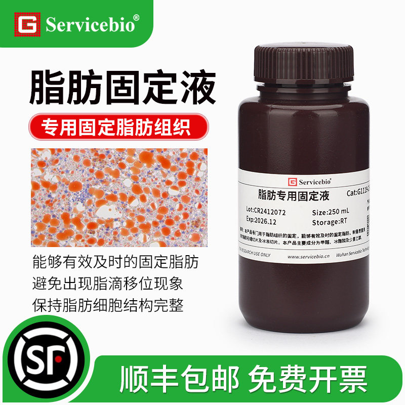 赛维尔 脂肪专用固定液 用于固定脂肪有效避免脂滴移位细胞膜破损