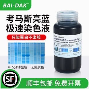 SDS-PAGE 考马斯亮蓝快速染液 蛋白胶染色液 无需脱色 5min显色