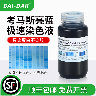 absci考马斯染色缓冲液无需脱色