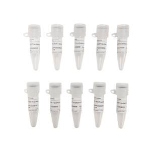 赛维尔PEI 40K Transfection Reagent PEI 40K转染试剂G1802-10ML