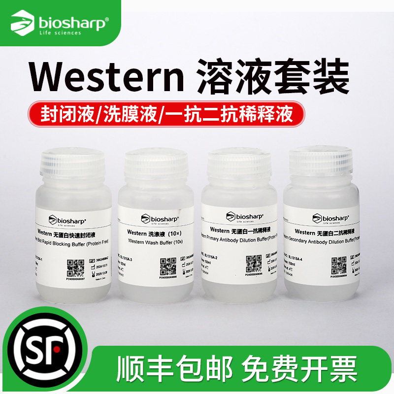 Western溶液套装WB试剂套装封闭液洗膜液抗体稀释液