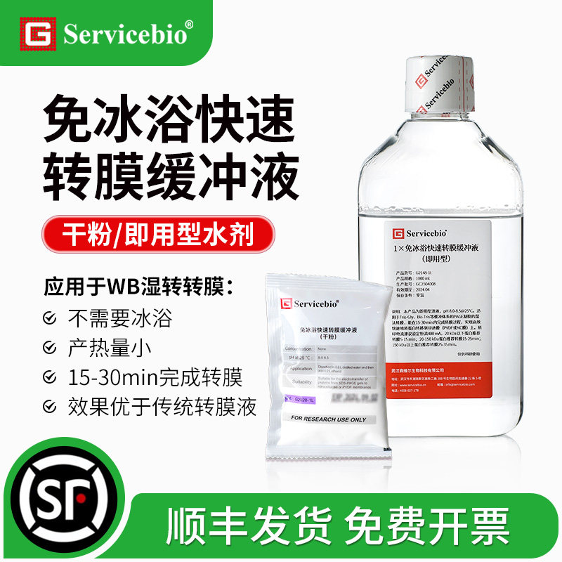 免冰浴快速转膜缓冲液转印液粉末即用型水剂 WB湿转无需冰袋G2028,工业油品/胶粘/化学/实验室用品,试剂,淘宝优惠券,粉丝福利购,淘宝优惠卷