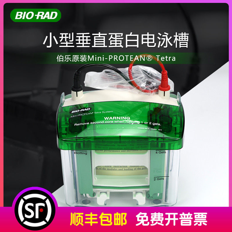 biorad伯乐 mini-protean03 tetra 小型垂直蛋白电泳槽 1658001