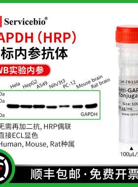 赛维尔 GAPDH 直标内参抗体 HRP偶联 WB无需二抗 直接ECL显色