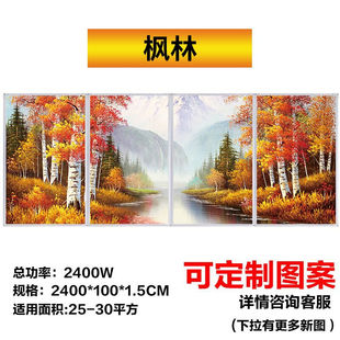 欣艾迪石墨烯碳晶墙暖电暖器壁画家用电暖气壁挂式 新品 电热板节能