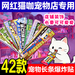 宠物店专用标签爆炸贴促销货架插卡网红猫咖狗咖物料牌导购卡42款