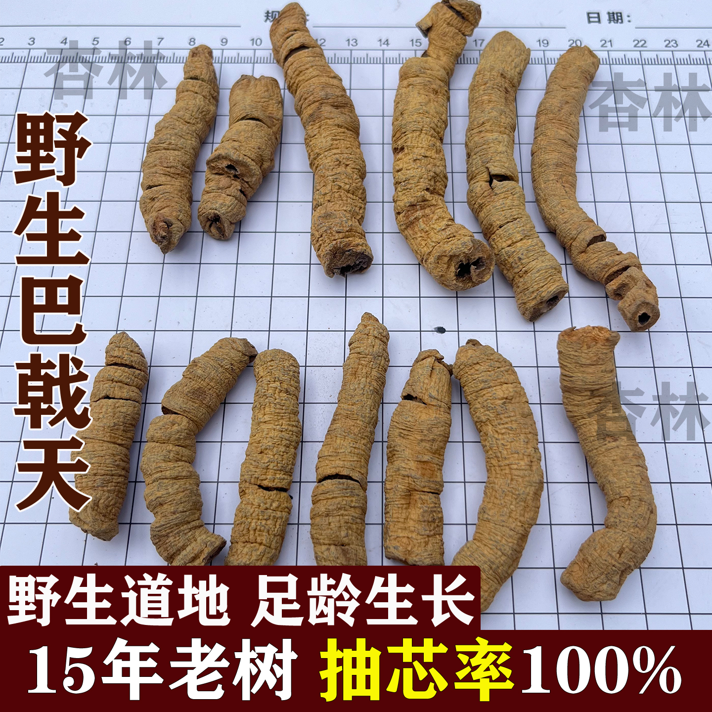 广东野生巴戟天中药材正品500g制盐巴戟天菟丝子肉苁蓉杜仲泡水酒