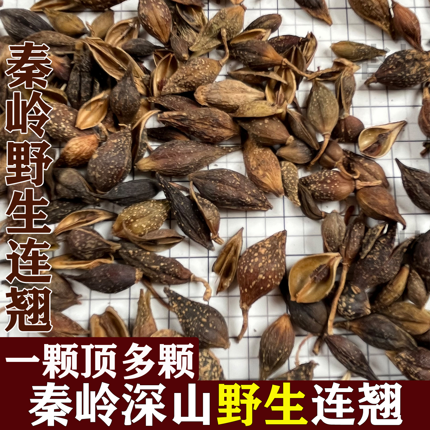 秦岭野生连翘中药材500g正品连翘无硫新货自然晾晒连翘金银花泡茶