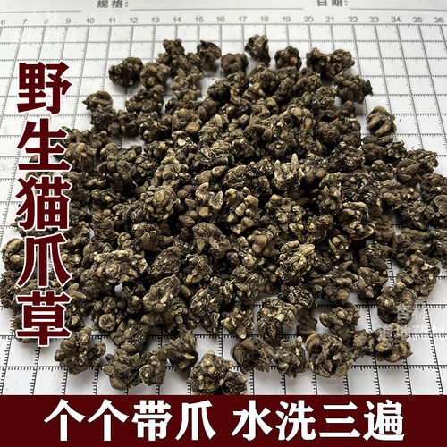 正品水洗新货猫爪草散*结*