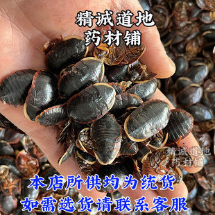 野生金边土元中药材正品金边土鳖虫土元干土元粉土元多少钱一斤