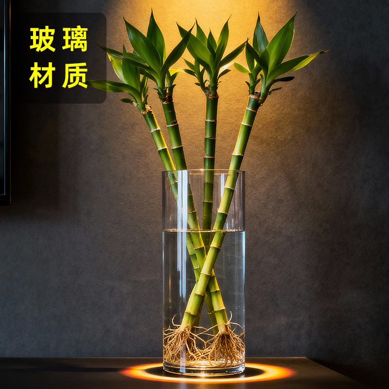 水养大号富贵竹龙竹文昌竹专用花瓶玻璃花盆透明直筒水培器皿高款