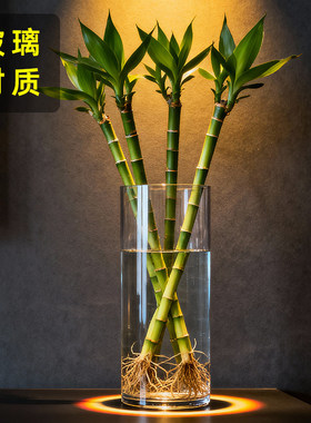 水养大号富贵竹龙竹文昌竹专用花瓶玻璃花盆透明直筒水培器皿高款
