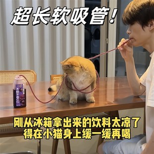 超长软吸管懒人喝水神器无毒无味便携软管食品级超长吸管送吸管刷