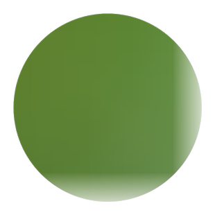 牧草籽垂穗披碱草种子四季种养牛草碱草老芒麦种子耐旱耐寒耐盐碱