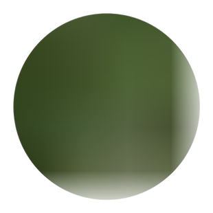 芨芨草种子 芨芨草 牧草种籽积机草席萁草种子耐旱防风固沙耐盐碱