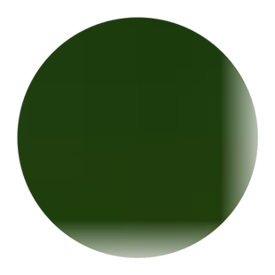 蛾蝶花种子四季易种易活室内外四季盆栽植物花籽花卉花草景观花海