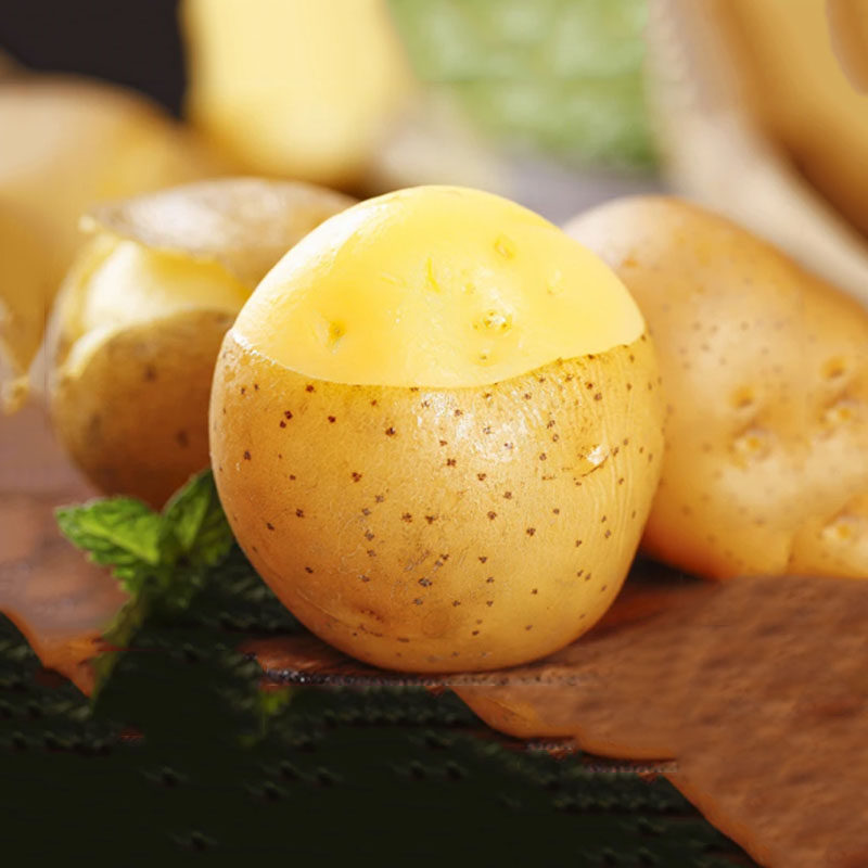 新鲜高山迷你小土豆现挖黄心土豆农家自种蔬菜马铃薯洋芋家用