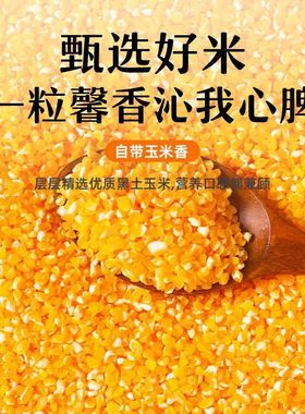 玉米碴子农家制作玉米糁五谷杂粮精选优质玉米糊八宝粥3斤装家用