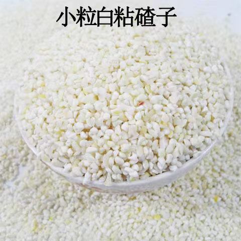 玉米碴子小颗粒黏粘干糯玉米粒
