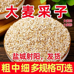 盐城射阳特产大麦采子粗粮老一辈人的粗粮大麦糁大麦面大麦仁
