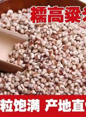 东北杂粮粘黏糯高粱米新米红粘高粱仁包粽子粘豆包杂粮粥粘高粱米