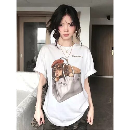 【赠送运费险】小红书博主推荐