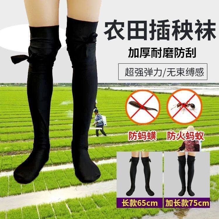 下田插秧袜子种田神器水田专用水袜插秧袜脚袜长袜防蚂蝗脚套加厚