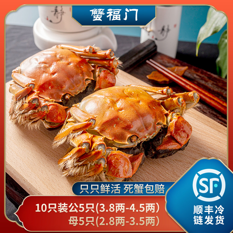 精品鲜活河蟹大闸蟹青壳白底鲜活螃蟹精选现货新鲜4公10只装礼盒