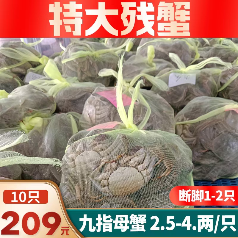 江苏精选九指蟹鲜活大闸蟹家庭装新鲜捕捞河蟹残蟹特大全母满黄