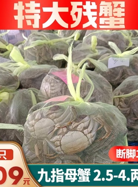 江苏九指蟹残蟹鲜活大闸蟹家庭装新鲜捕捞河蟹残蟹特大全母满黄