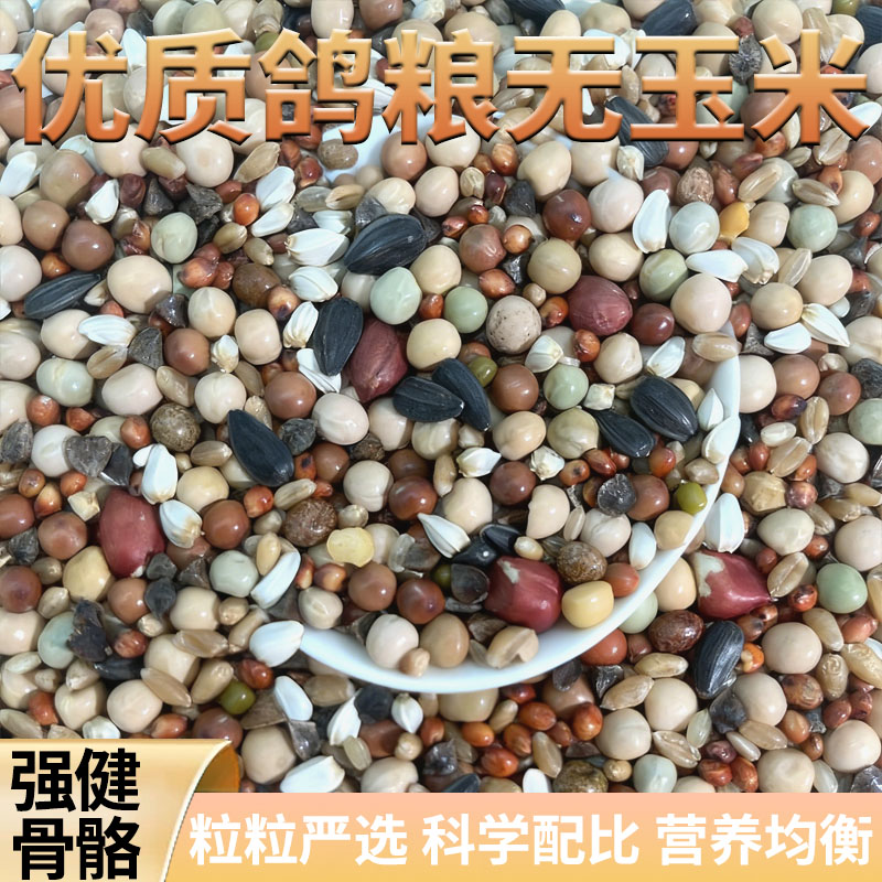 5斤无玉米鸽子专用粮食精品幼鸽