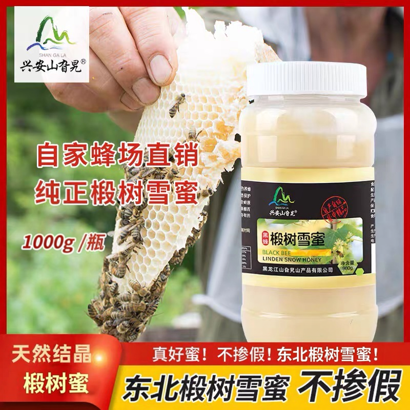 东北蜂蜜长白山非野生椴树雪蜜纯正天然结晶农家自产原蜜1000g