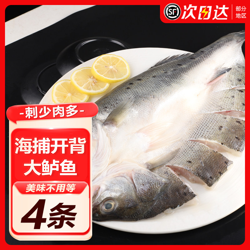 海之帮开背鲈鱼半成品烤鱼
