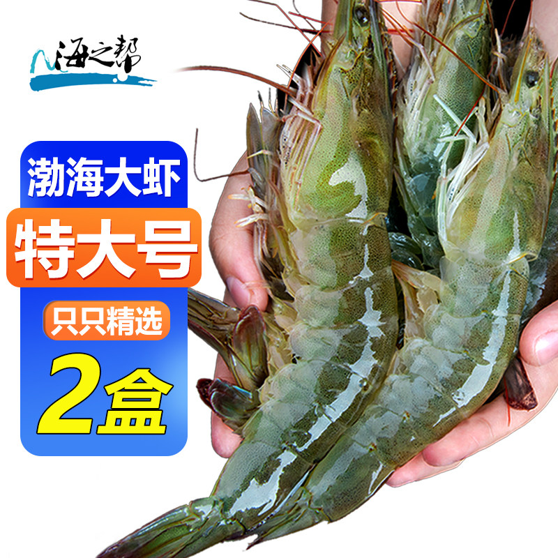 【勿动】海之帮渤海大虾特大号鲜活新鲜冷冻白虾海鲜低脂低卡