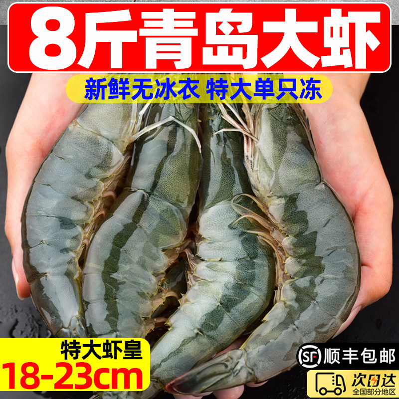 特大青岛大虾鲜活速冻海虾