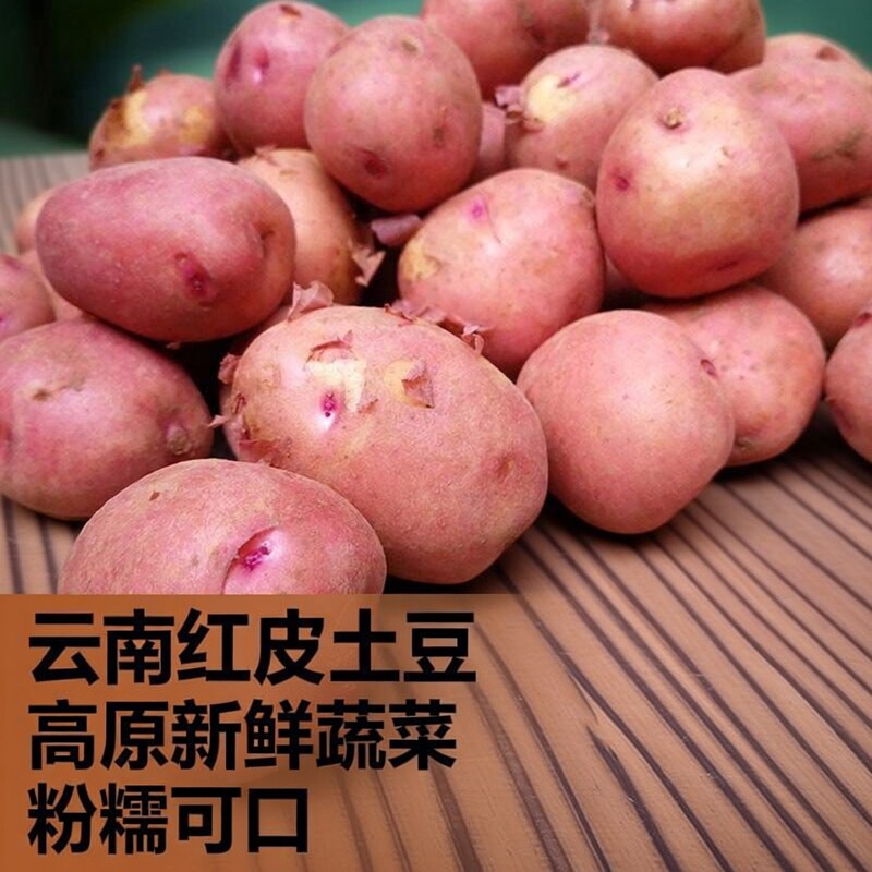云南红皮土豆正宗高原黄心洋芋