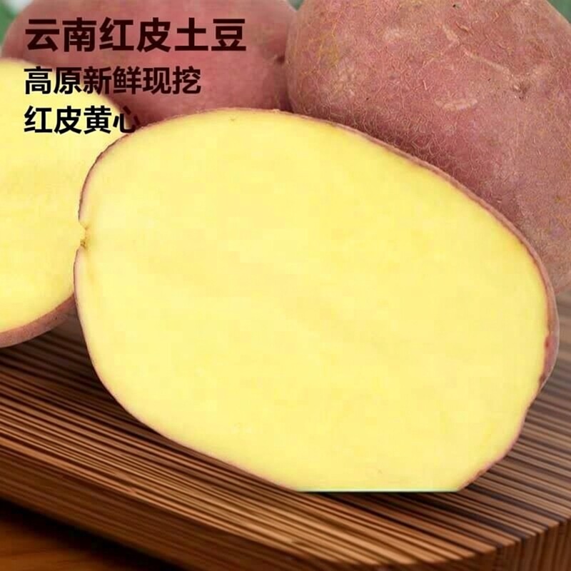 云南高原红皮土豆新鲜蔬菜